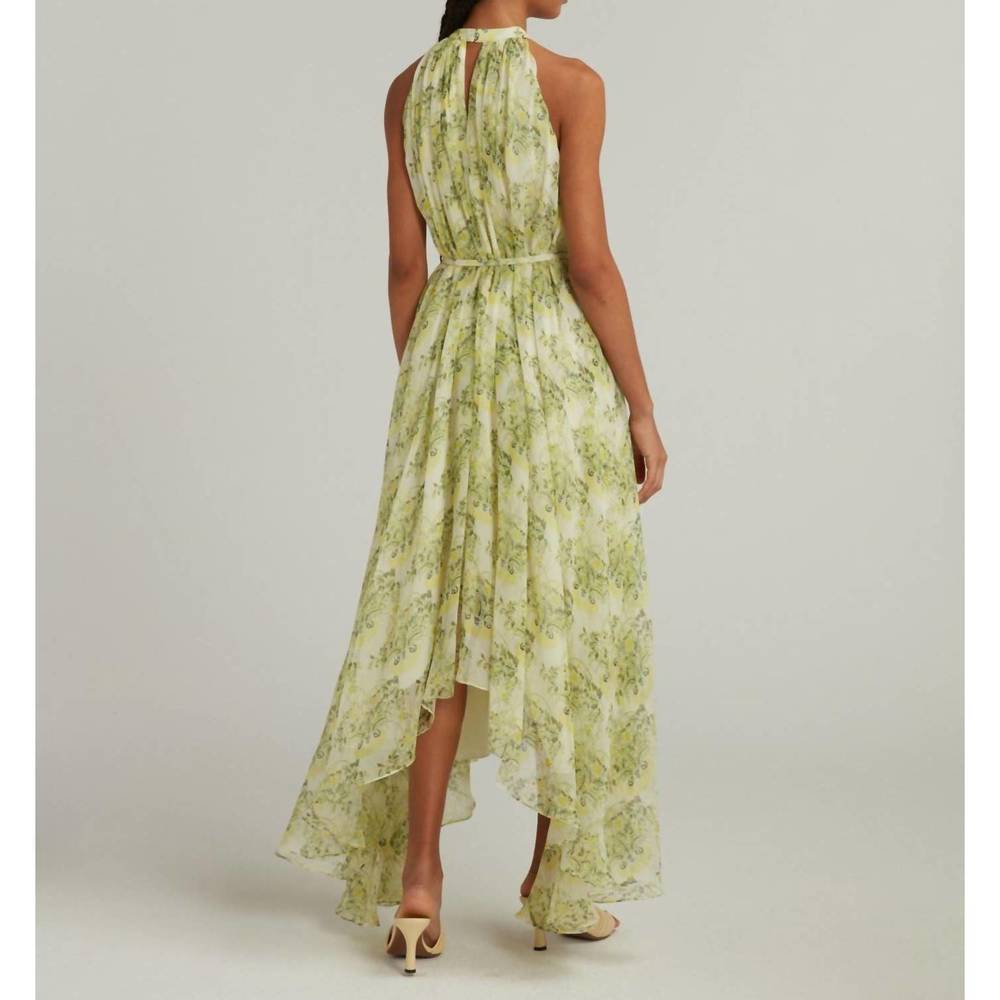 NEW SALONI irinia dress in terrarium lemon - Picture 5 of 6